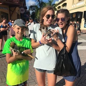 Meet your Posher, Abby